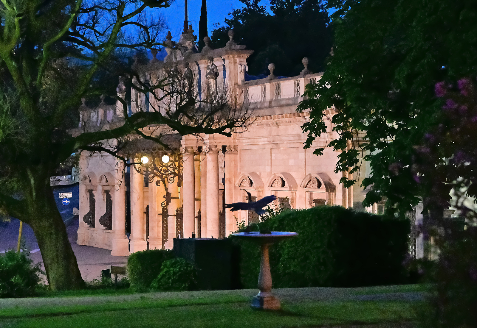 A NIGHT AT THE OPERA